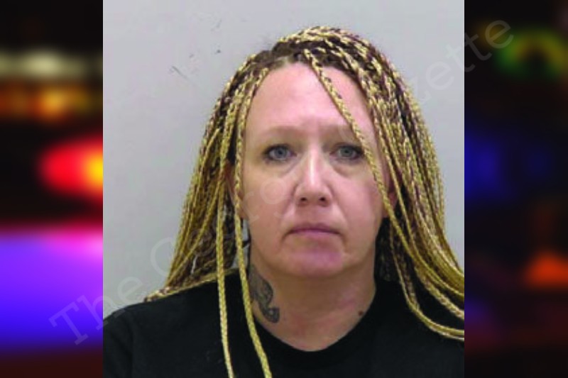 Ellen Woods Bartow County Jail Bookings