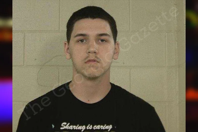 Joshua Bladen Liberty County Jail Bookings