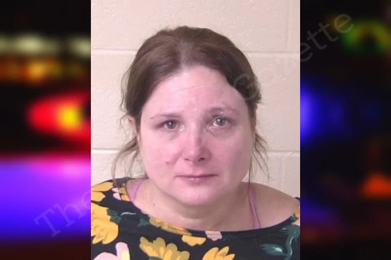 Stephanie Brock — Walker County Jail Bookings