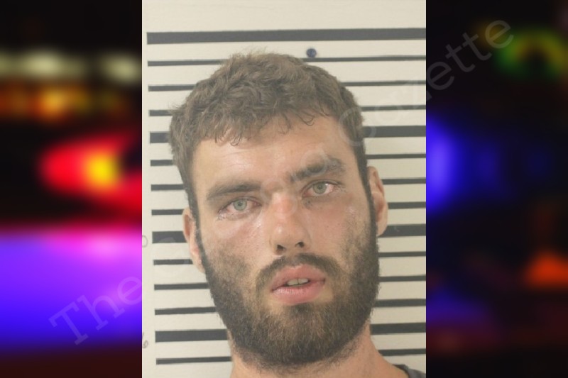 Noah Higginbotham Toombs County Jail Bookings