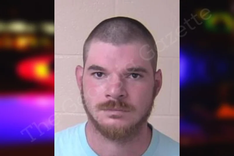 Cody Hall — Walker County Jail Bookings