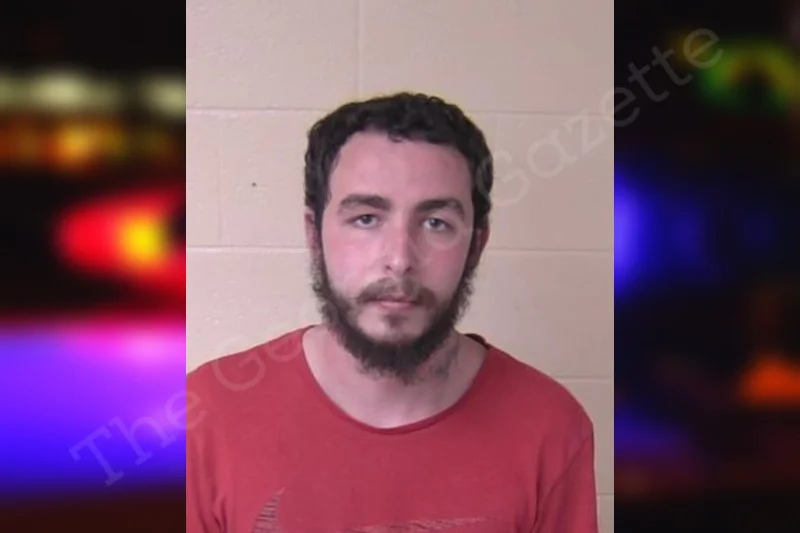 Austin Mahan — Walker County Jail Bookings