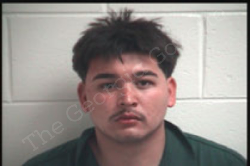 Jose Osorio | Henry County Jail Bookings