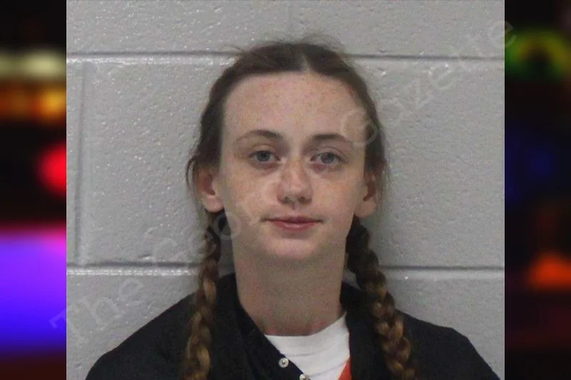 Hallie Ransom Carroll County Jail Bookings