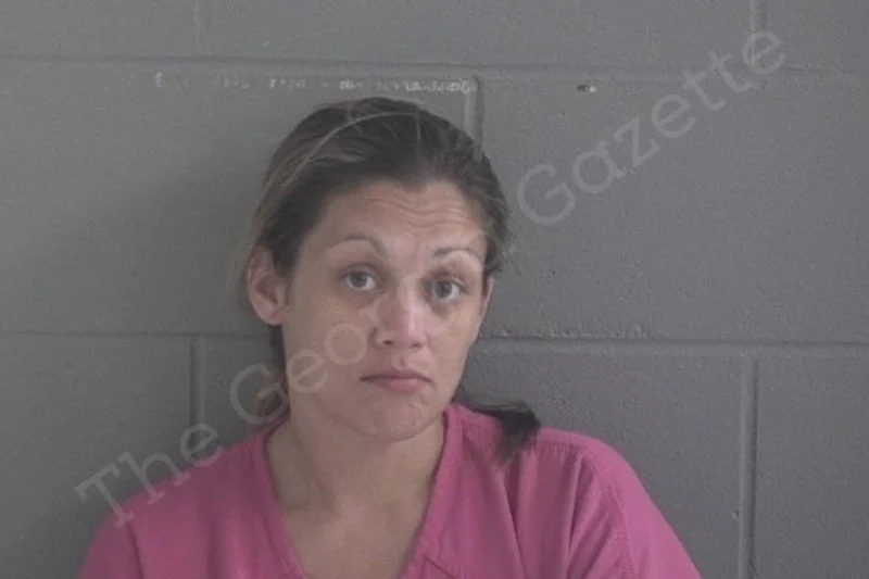 Jessica Dotson Brantley County Jail Bookings