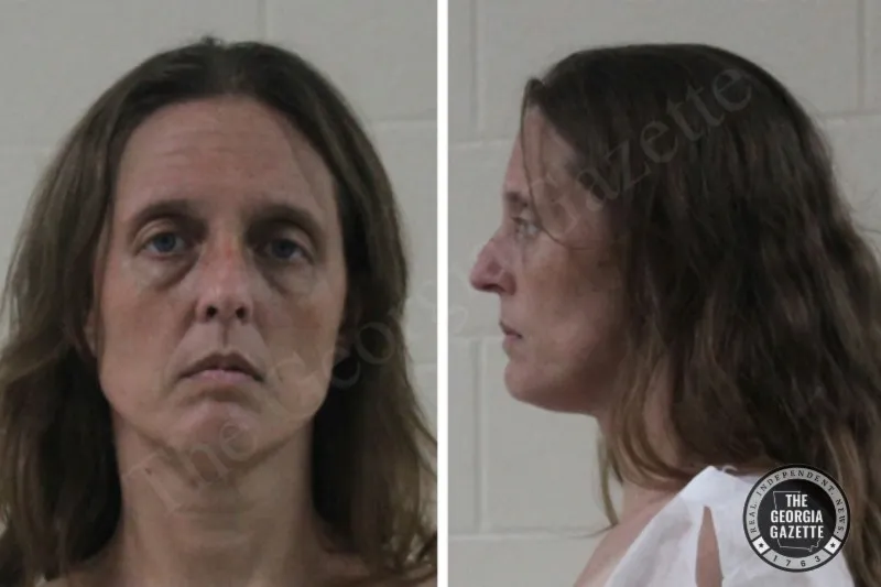 Kelli Gaines — Houston County Jail Bookings