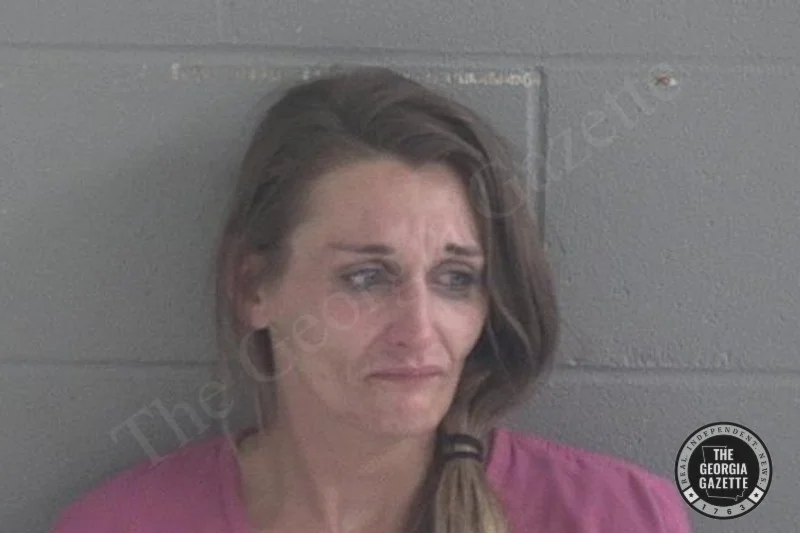 Tabitha Kilgore Brantley County Jail Bookings