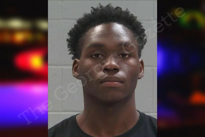 Shannon Mitchell Baldwin County Jail Bookings