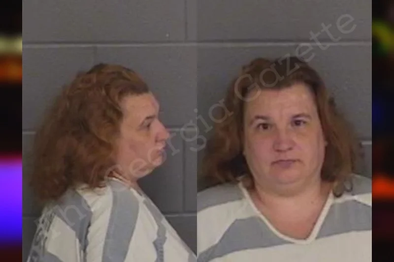 Samantha McDougald — Barrow County Jail Bookings