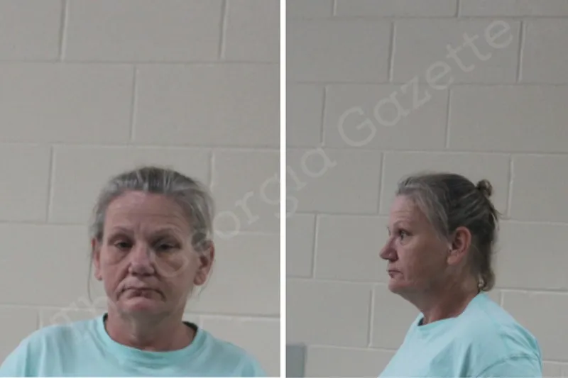Stacy McFarland Houston County Jail Bookings