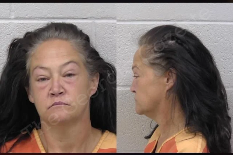 Julie Porter Paulding County Jail Bookings