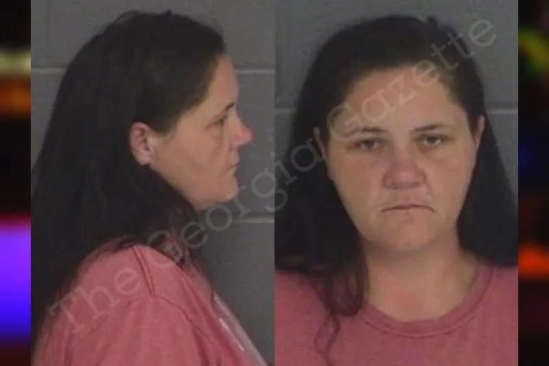 Tiffany Prince | Barrow County Jail Bookings