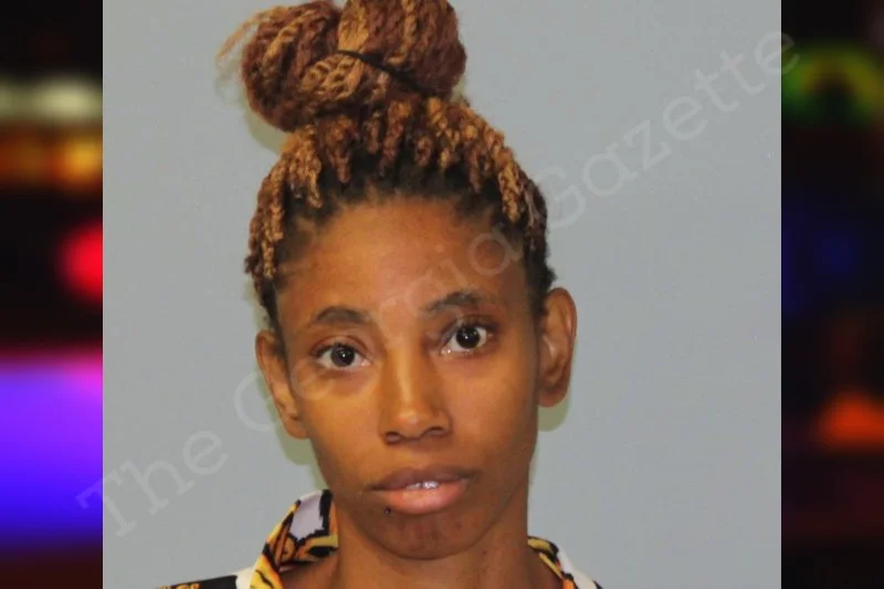 Jasmine Sibley McIntosh County Jail Bookings