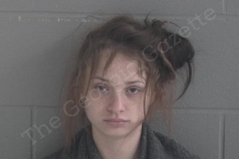 Katie Williams — Brantley County Jail Bookings