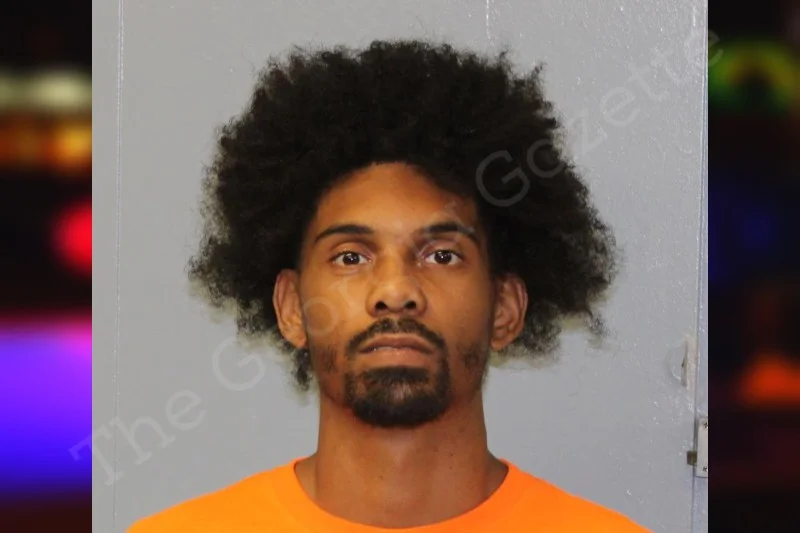 Levi Williams McIntosh County Jail Bookings