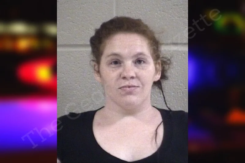 Tabatha Williams | Whitfield County Jail Bookings