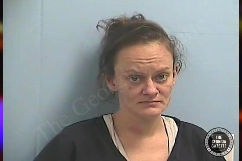 Carolyn Baldwin | Dawson County Jail Bookings