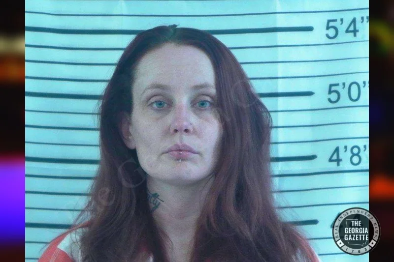 Elizabeth Harrison — Stephens County Jail Bookings