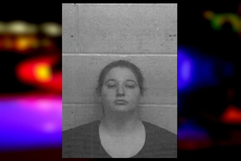 Fitzgerald mother charged with murder after 4-year-old boy dies in hot ...
