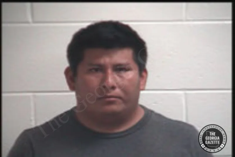 Mario Reyes | Henry County Jail Bookings