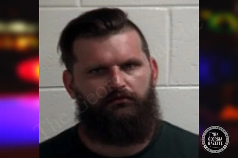 Caleb Ridenhour Caleb Ridenhour — Henry County Jail Bookings