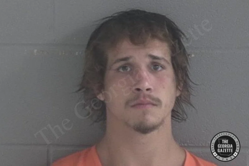 Levi Williams Brantley County Jail Bookings