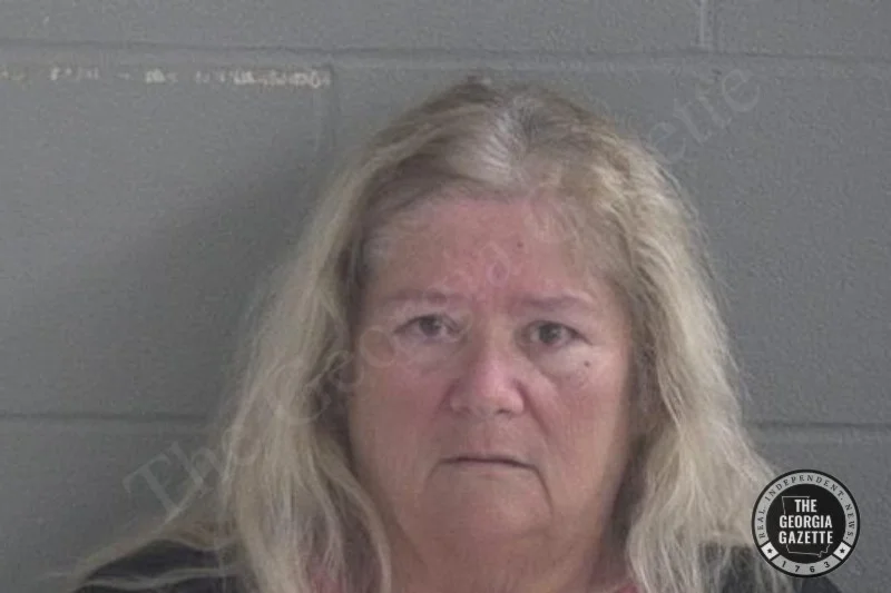 Debbie Courson Brantley County Jail Bookings