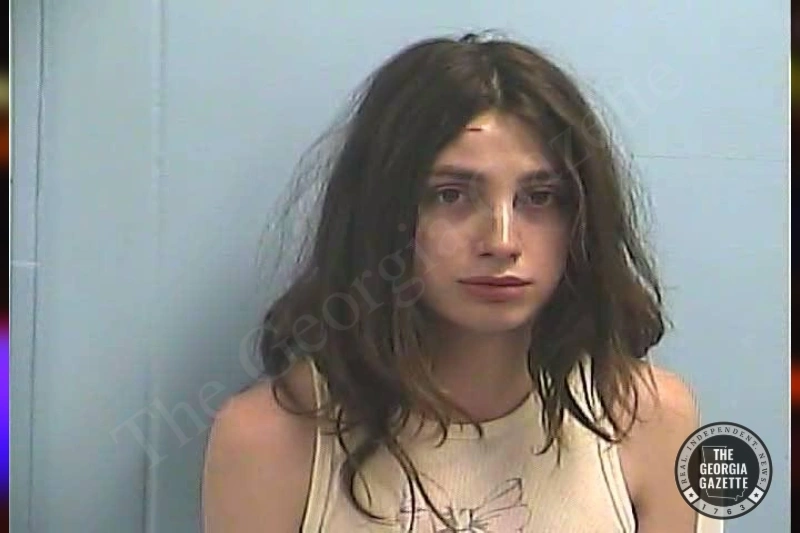 Baily Cole — Dawson County Jail Bookings