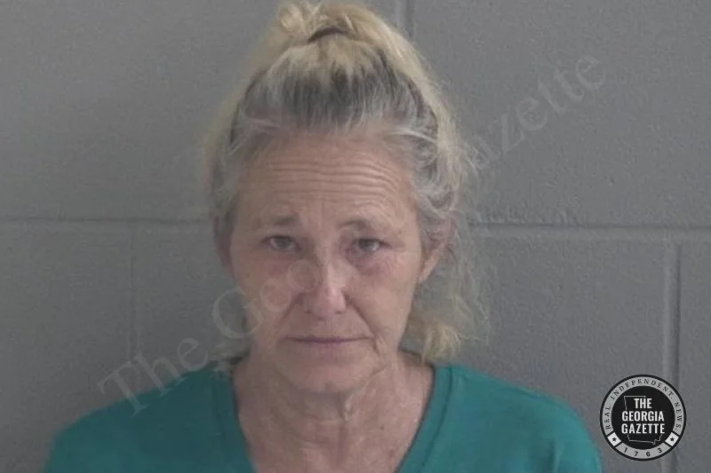 Shelley Lyons Brantley County Jail Bookings