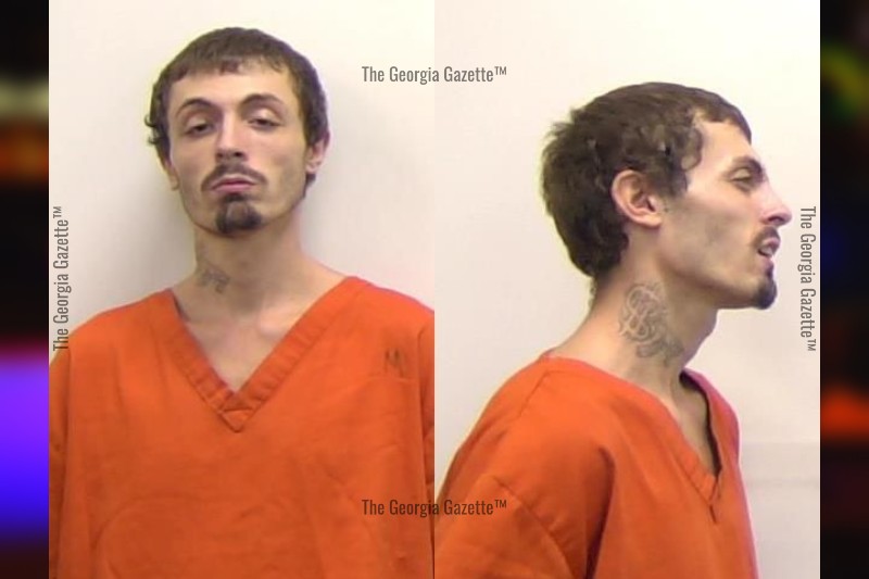 Dillon Brown Clarke County Jail Bookings