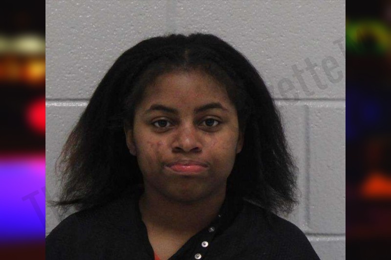 Evans Jenia Carroll County Jail Bookings