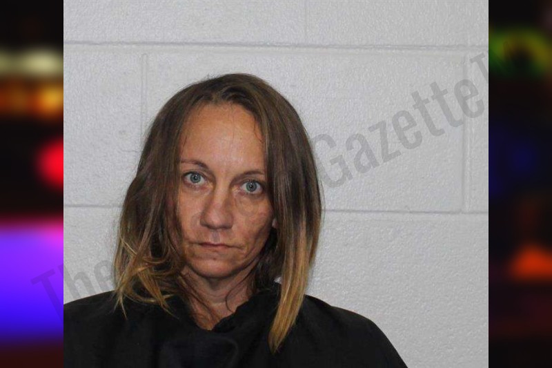 Brandy McLaughlin Habersham County Jail Bookings