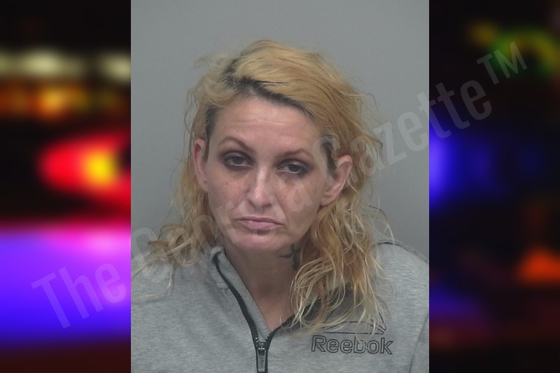 Halli Blower — Gwinnett County Jail Bookings