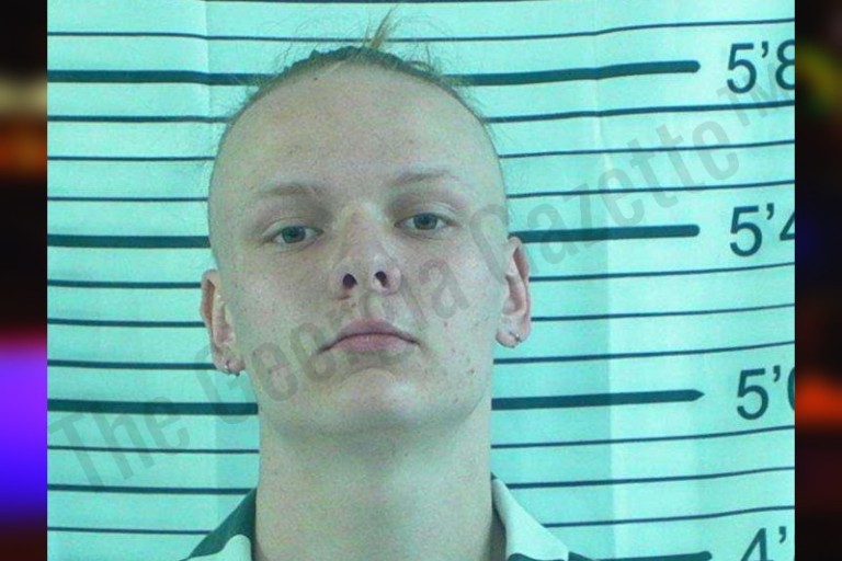 Stephens County Jail Bookings – The Georgia Gazette