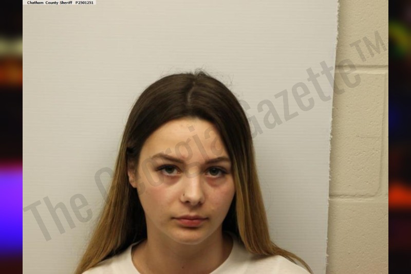 Journey McKinzie — Chatham County Jail Bookings