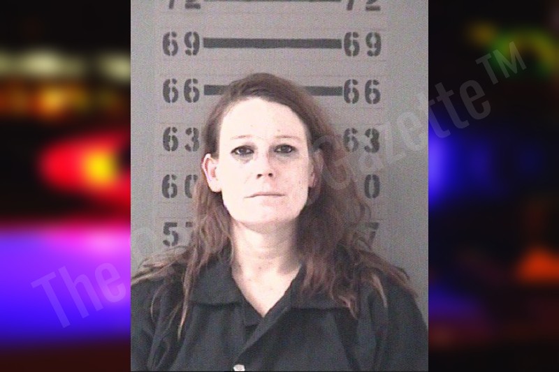 Melissa Peters — Dougherty County Jail Bookings