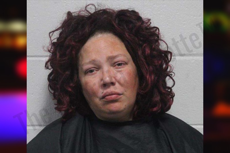 Amanda Lukes — Habersham County Jail Bookings