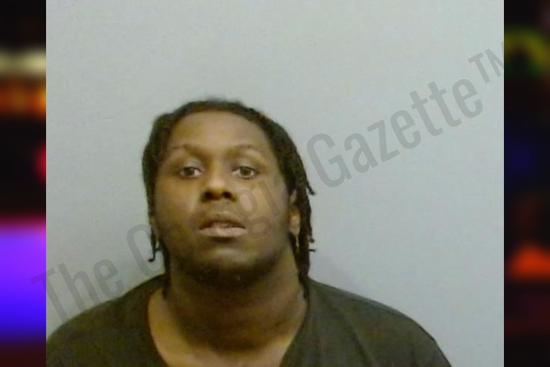 Michael Riley Bootle Michael Riley — Fulton County