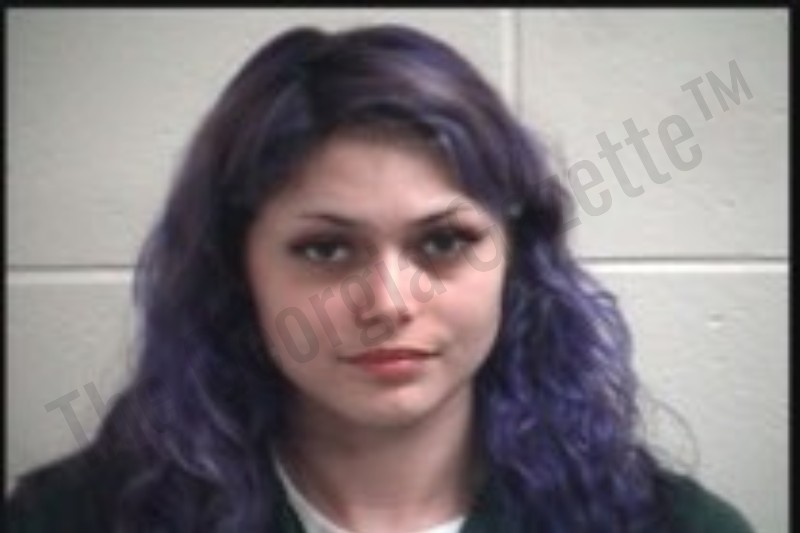 Scarlet Graham Henry County Jail Bookings scarlet-graham-henry-county-jail-bookings