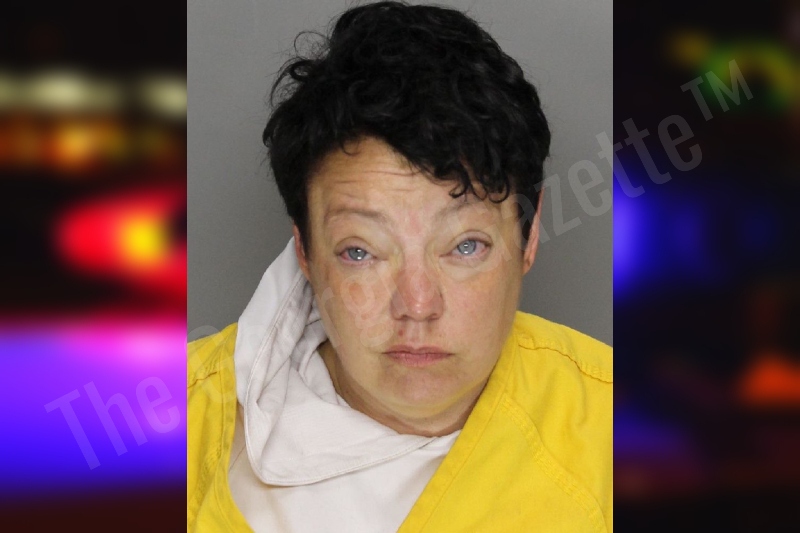Ashley Ferrara — Cobb County Jail Bookings