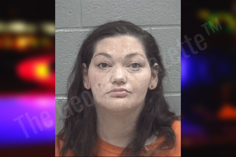 Brittany Hodges Columbia County Jail Bookings brittany-hodges-columbia-county-jail-bookings