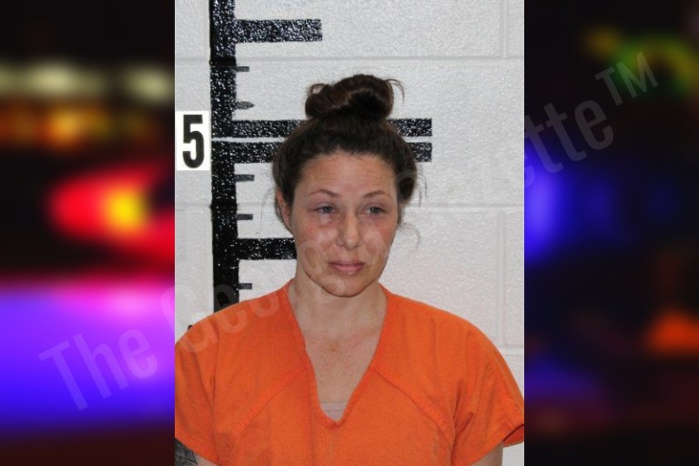 Jennifer Holmes — Murray County Jail Bookings