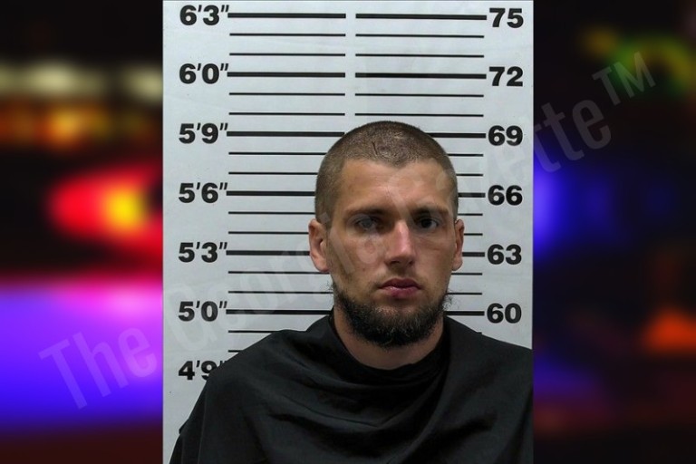 Erik Lollis — Hart County Jail Bookings