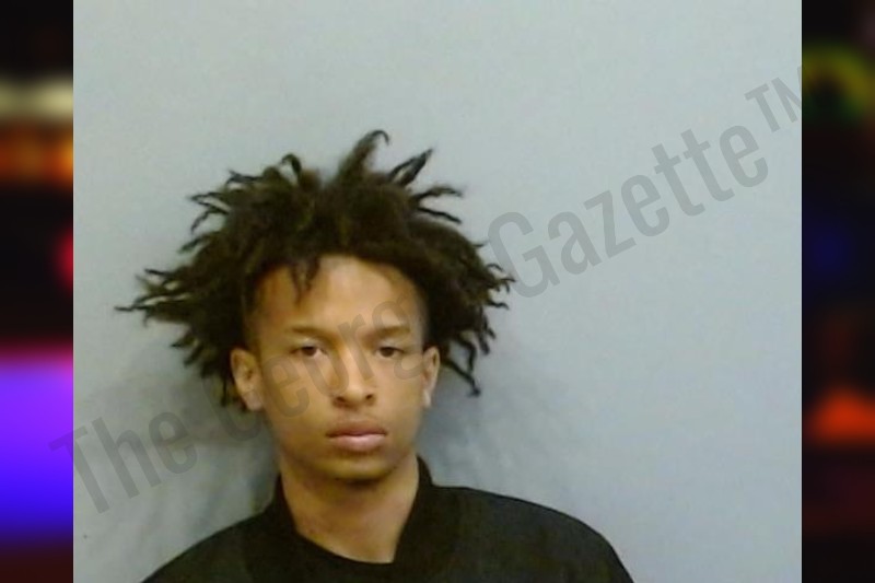 Nathan McKinzy-Smith — Fulton County Jail Bookings