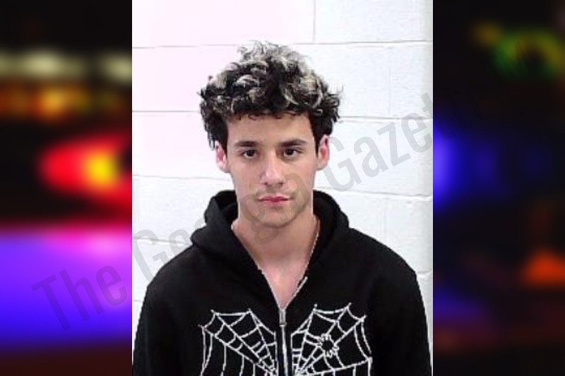 Aidan Rothman — Fulton County Jail Bookings