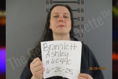 Ashley Bramlett — Dougherty County Jail Bookings