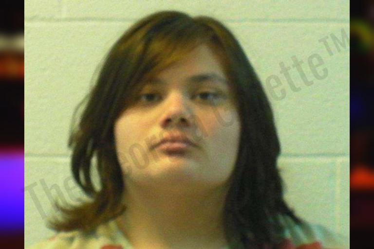 Stephens County Jail Bookings – The Georgia Gazette