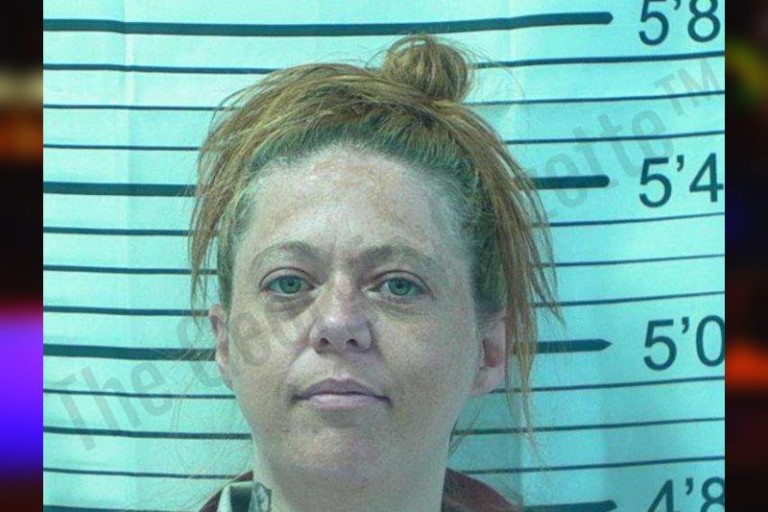 Stephens County Jail Bookings – The Georgia Gazette