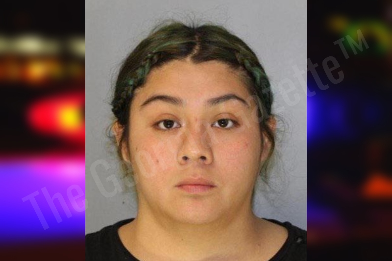 Michelle Aguillares Ortiz — Hall County Jail Bookings