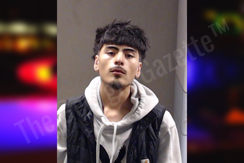 Anthony Bahena-Aviles — DeKalb County Jail Bookings